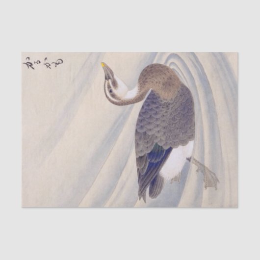 ヴィンテージイラストレーション: Spot-Bed Duck 薄葉紙 (正面)