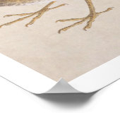 ヴィンテージイラストレーション: Thrush ポスター (角)