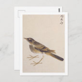 ヴィンテージイラストレーション: Thrush ポストカード (正面/裏面)