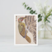 ヴィンテージイラストレーション: Woodpecker ポストカード (スタンド正面)