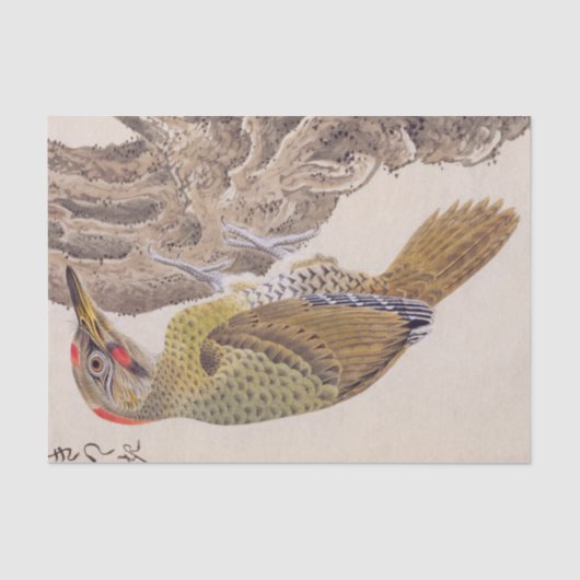 ヴィンテージイラストレーション: Woodpecker 薄葉紙 (正面)