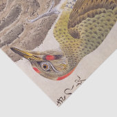ヴィンテージイラストレーション: Woodpecker 薄葉紙 (詳細)
