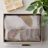 ヴィンテージイラストレーション: Woodpecker 薄葉紙 (ギフト)