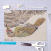 ヴィンテージイラストレーション: Woodpecker 薄葉紙 (クラフト)