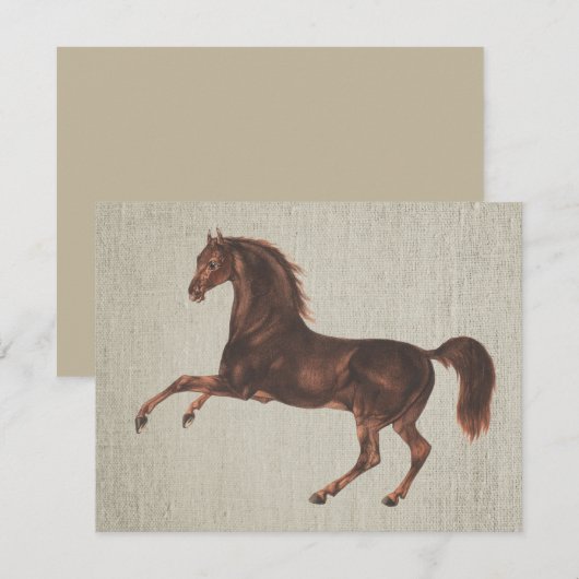 ヴィンテージイラスト栗毛の馬 ノートカードセット ノートカード (正面/裏面)