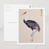 ヴィンテージイラスト: アカアシクロツラキ ポストカード (正面/裏面)