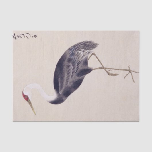 ヴィンテージイラスト: アカアシクロツラヘラサギ 薄葉紙 (正面)