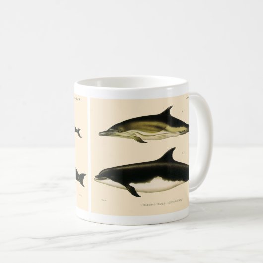 ヴィンテージイルカ、海産動物及び哺乳類 コーヒーマグカップ (正面右)