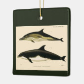 ヴィンテージイルカ、海産動物及び哺乳類 セラミックオーナメント (左)