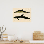 ヴィンテージイルカ、海産動物及び哺乳類 ポスター (キッチン)