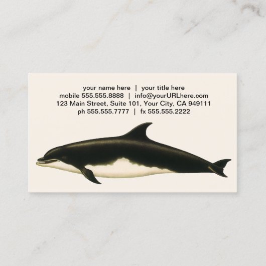 ヴィンテージイルカDelphinus Tursio、海洋哺乳類 名刺 (裏面)