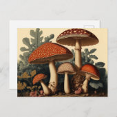 ヴィンテージインスパイアコテージコーレマッシュルームアート ポストカード (正面/裏面)