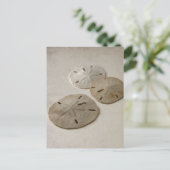 ヴィンテージインスパイアサンドドル ポストカード (スタンド正面)