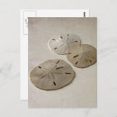 ヴィンテージインスパイアサンドドル ポストカード (正面/裏面)