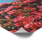 ヴィンテージインスパイアブーゲンビリア花カリフォルニア ポスター (角)