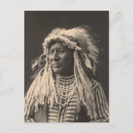 ヴィンテージインディアン：白鳥、カラス –  ポストカード (正面)