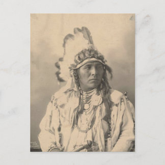 ヴィンテージインディアン: Spotted Jack Rabbit, Crow - ポストカード