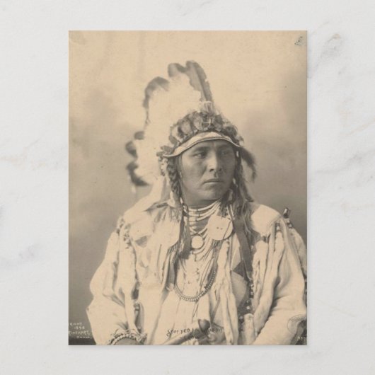 ヴィンテージインディアン: Spotted Jack Rabbit, Crow - ポストカード (正面)