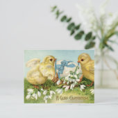 ヴィンテージイースターエッグとブルーボウ付き2羽の雛 ポストカード (スタンド正面)