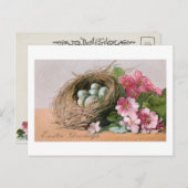 ヴィンテージイースターエッグ、巣&ピンクポリアンサス ポストカード (正面/裏面)