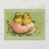 ヴィンテージイースターシックハッチ ポストカード (正面)