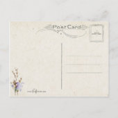 ヴィンテージイースターバスケット、卵と雛 ポストカード (裏面)