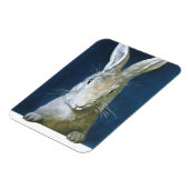 ヴィンテージイースターバニー、かわいい毛皮の白うさぎ マグネット (左側)