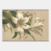 ヴィンテージイースタービクトリアンユリ、花の開花 ラッピングペーパーシート (正面)