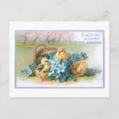 ヴィンテージイースターフローラと雛 ポストカード (正面)