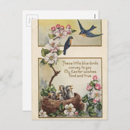 ヴィンテージイースターブルーの鳥と巣の挨拶 シーズンポストカード (正面/裏面)