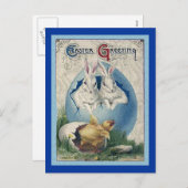 ヴィンテージイースターホワイトウサギとベビーシック。ZSSG シーズンポストカード (正面/裏面)