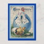 ヴィンテージイースターホワイトウサギとベビーシック。ZSSG シーズンポストカード (正面)