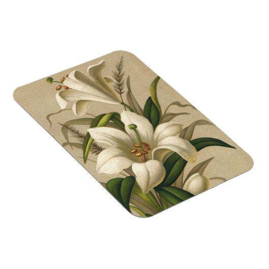 ヴィンテージイースターリリービクトリアン花の開花 マグネット (右側)