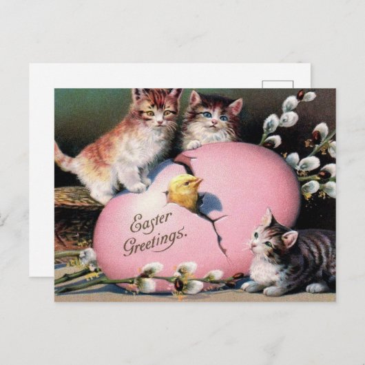 ヴィンテージイースター挨拶キャッツシックとイースター卵 ポストカード (正面/裏面)