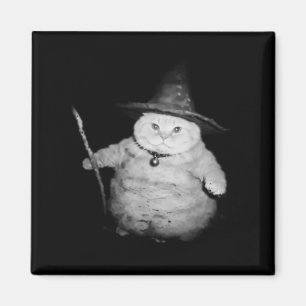 ヴィンテージウィザー風変わりド猫おかしなハロウィーン猫ミーム マグネット