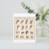 ヴィンテージウィッグ+ひげ広告 ポストカード (スタンド正面)