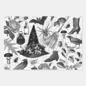 ヴィンテージウィッチフローラハロウィーンエフエメラ ラッピングペーパーシート (正面2)