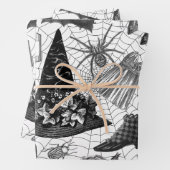 ヴィンテージウィッチフローラハロウィーンエフエメラ ラッピングペーパーシート (インサイチュ)