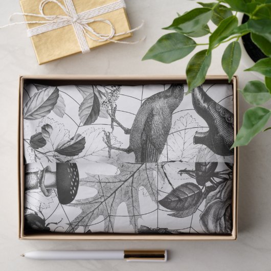 ヴィンテージウィッチフローラハロウィーンエフエメラ 薄葉紙 (ギフト)