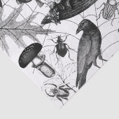 ヴィンテージウィッチフローラハロウィーンエフエメラ 薄葉紙 (詳細)