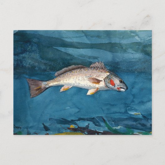 ヴィンテージウィンスローホームマーチャンネルバス ポストカード (正面)