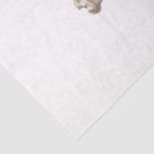 ヴィンテージウイスキーデザインシリーズ16 薄葉紙 (詳細)