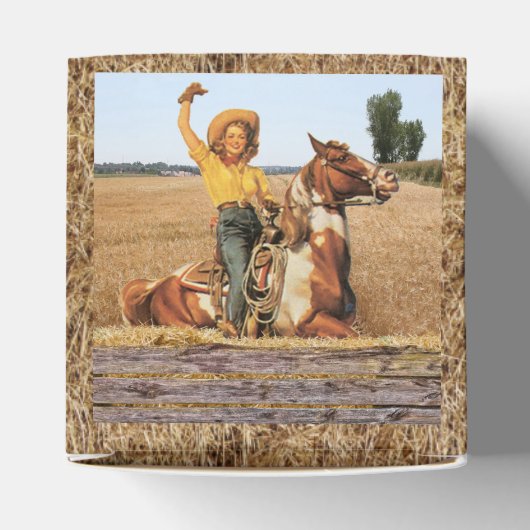 ヴィンテージウェスタン女性のカーボーイオンホースなびく フェイバーボックス (上部)