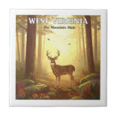 ヴィンテージウェストバージニア タイル (正面)