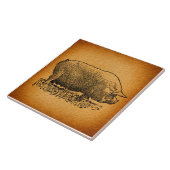 ヴィンテージウエスタンスタイルアンティークピグアートイラストレーション タイル (側面)