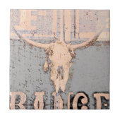 ヴィンテージウエスタンブルスカルグレイ素朴 タイル (正面)