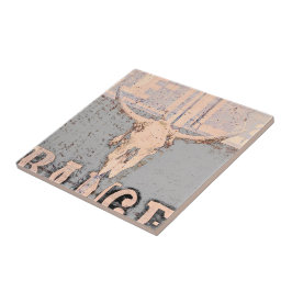 ヴィンテージウエスタンブルスカルグレイ素朴 タイル