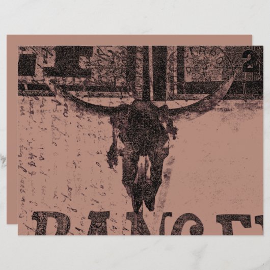 ヴィンテージウエスタンブルスカルブラウンオールドカントリー (正面/裏面)