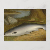 ヴィンテージウォルター・ブレスケット成功のキャッチ ポストカード (正面)