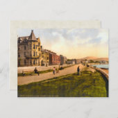 ヴィンテージウォレンポイントカウンティダウンアイルランド ポストカード (正面/裏面)